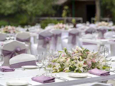 Big Banyan Vineyard & Resort